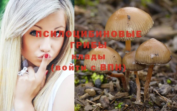 прущий лед Кинешма