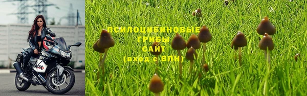 тгк Карталы