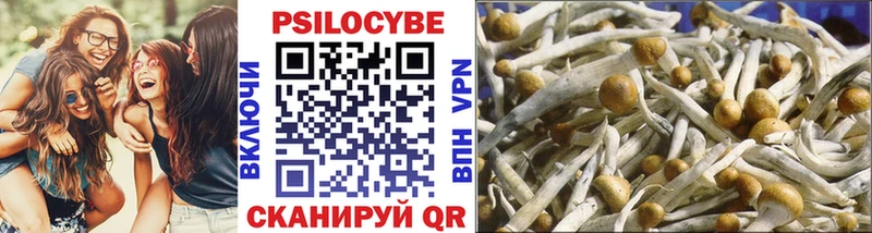 Псилоцибиновые грибы MAGIC MUSHROOMS  закладки  даркнет формула  Пушкино 