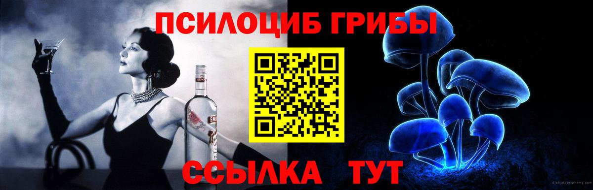Пушкино  Псилоцибиновые грибы ЛСД  Вход с VPN 